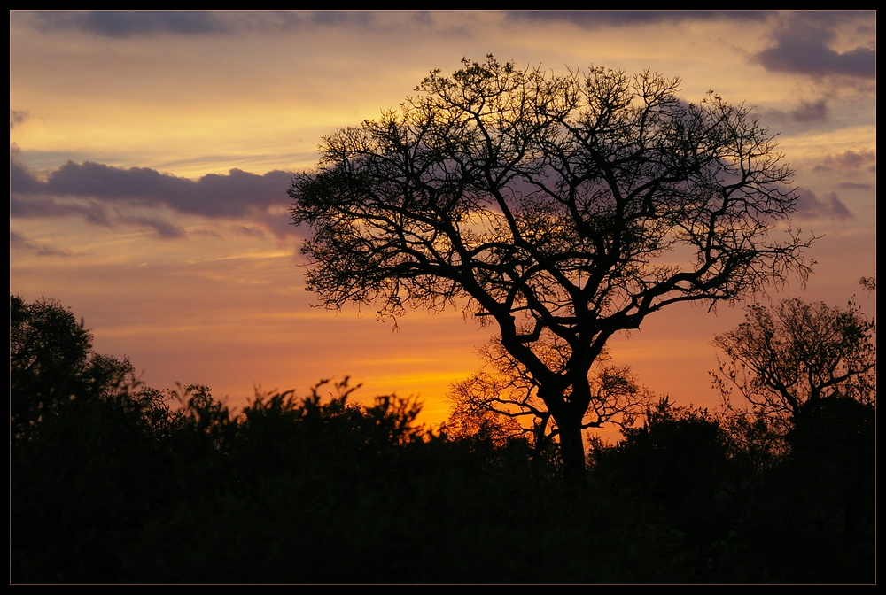 Abendromantik in Südafrika