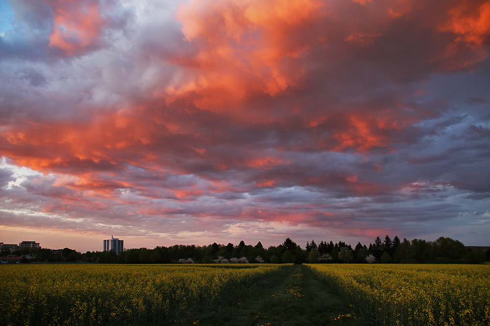 Abendrot