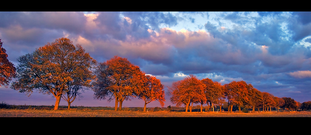 Abendrot