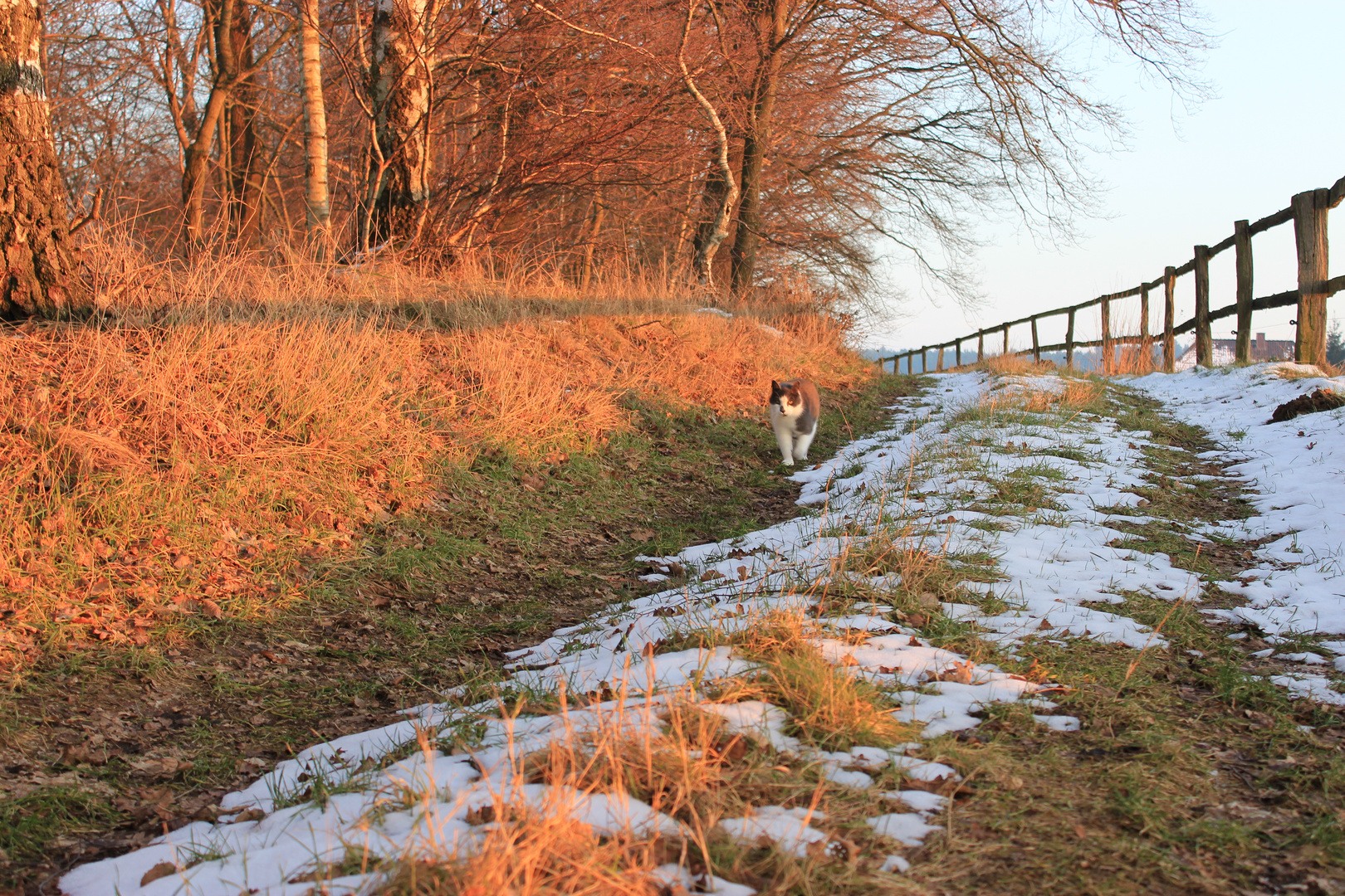 Abendrot