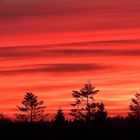 Abendrot am 3.Januar 2019 über Schleswig-Holstein