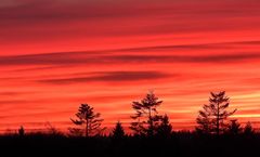 Abendrot am 3.Januar 2019 über Schleswig-Holstein