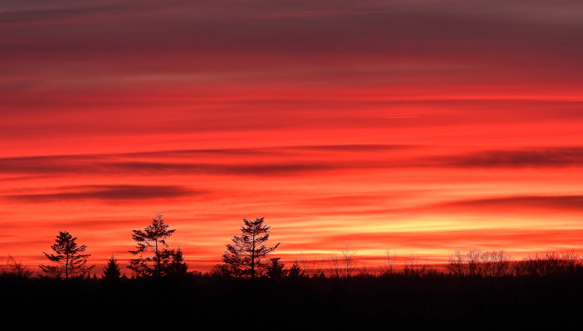 Abendrot am 3.Januar 2019 über Schleswig-Holstein