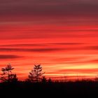 Abendrot am 3.Januar 2019 über Schleswig-Holstein