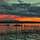 Abendrot am Albufera See