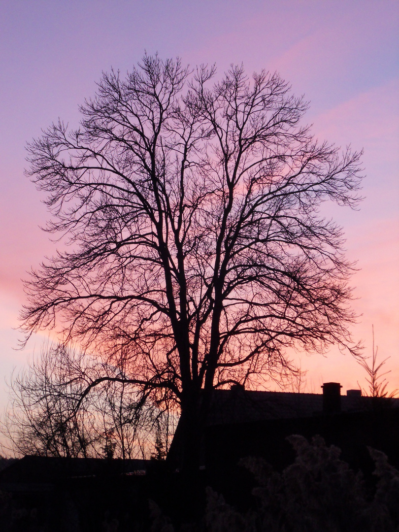 Abendrot am Ende des Winters.....