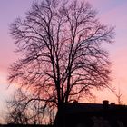 Abendrot am Ende des Winters.....