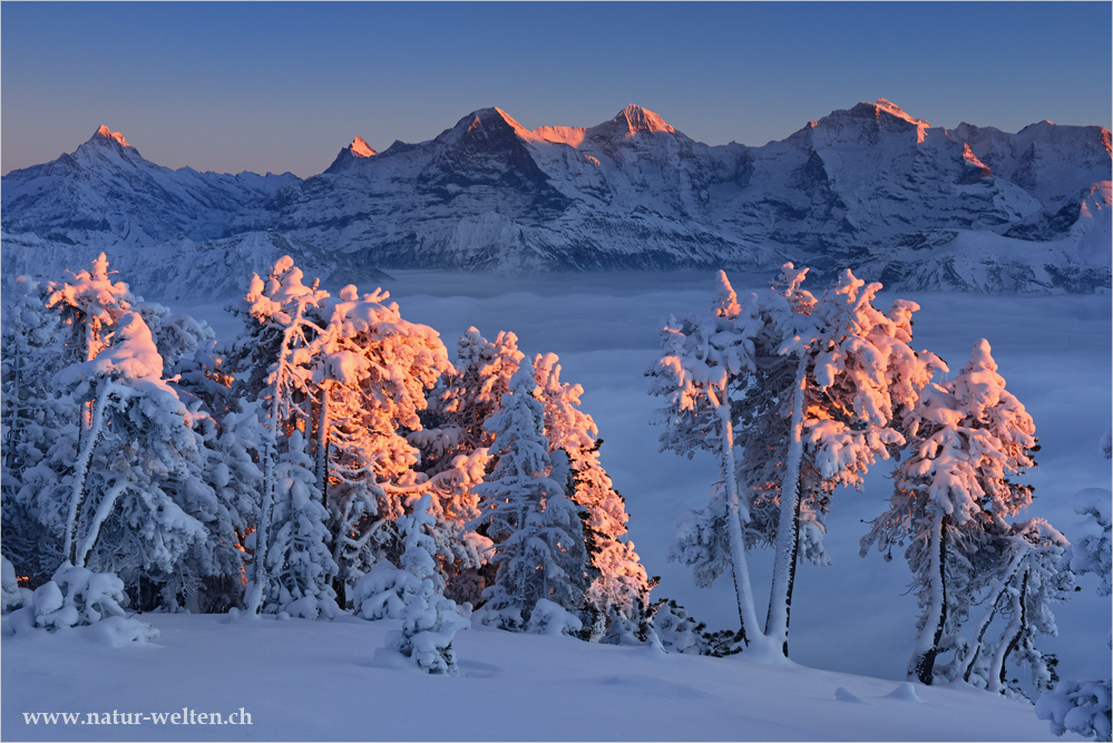 Abendrot am Niederhorn