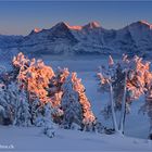 Abendrot am Niederhorn