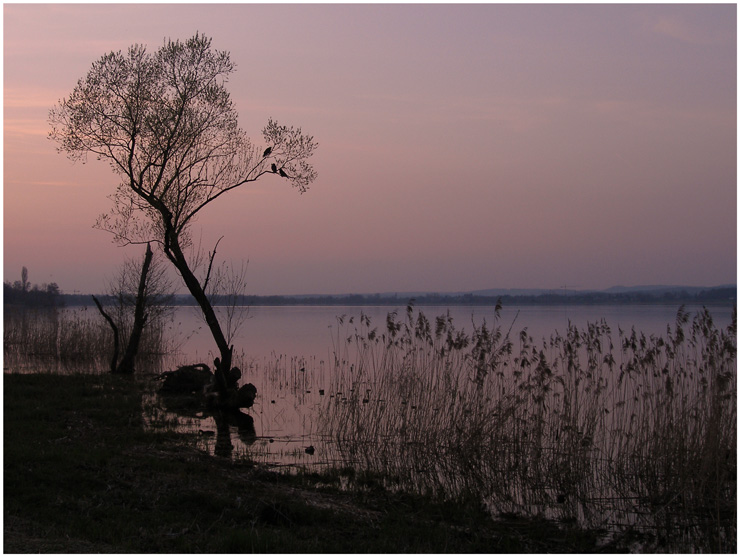 Abendrot am See