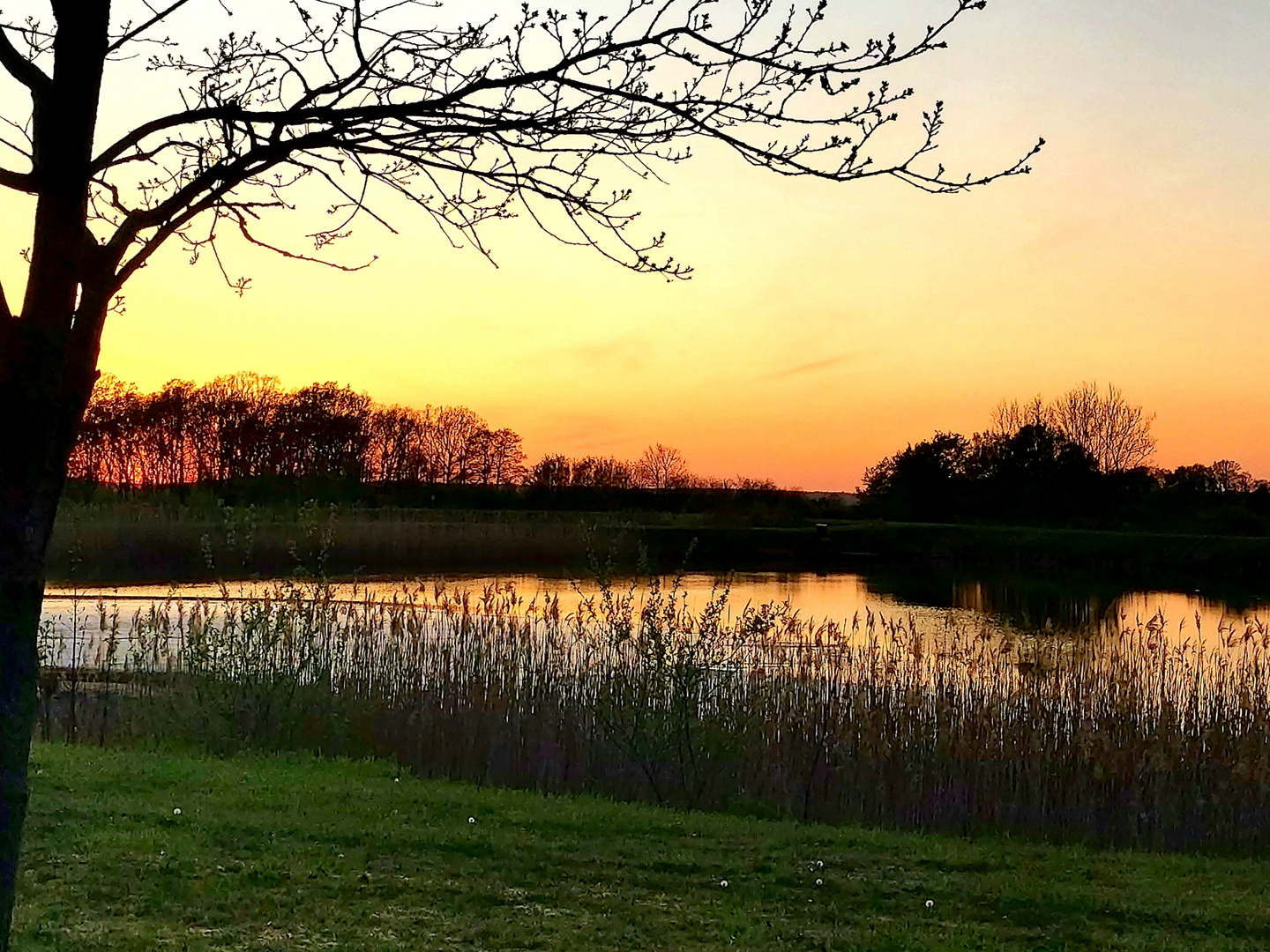 Abendrot am Teich in Goslar 