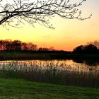 Abendrot am Teich in Goslar 