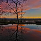 Abendrot am Weiher