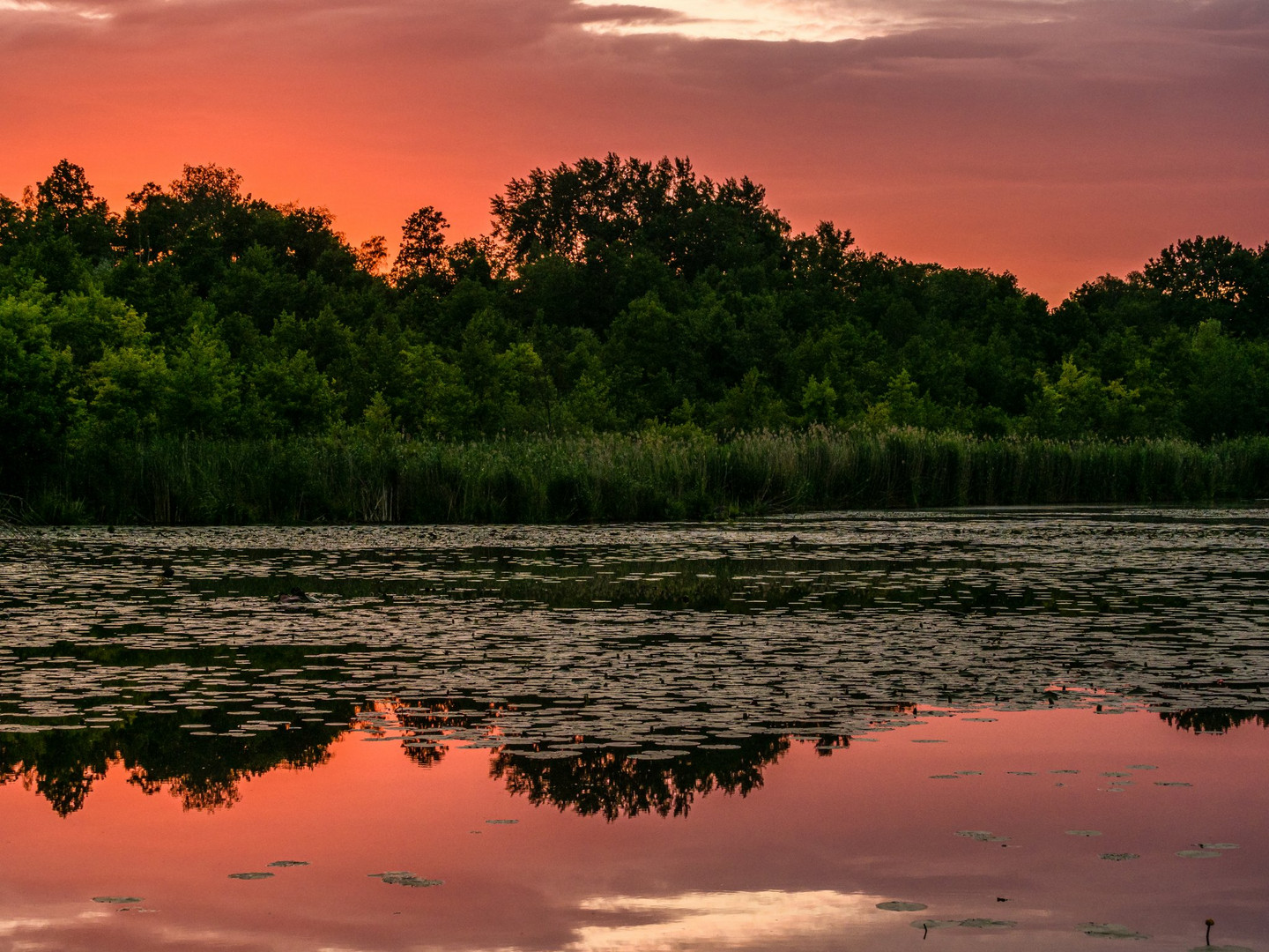 Abendrot am Wernsdorfer See