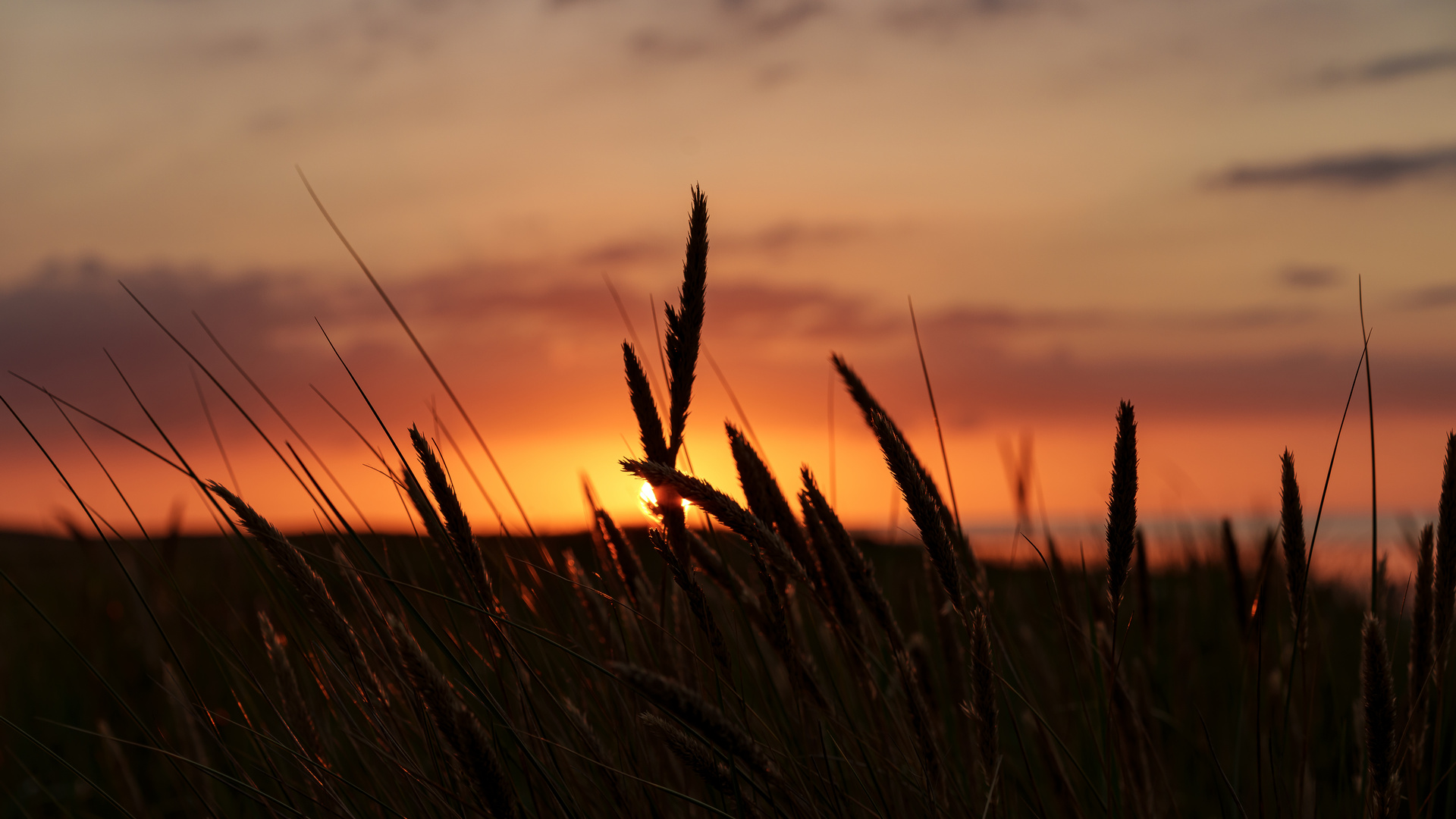 Abendrot an der Nordsee