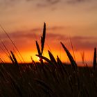 Abendrot an der Nordsee