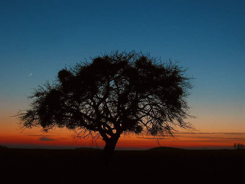 Abendrot auf dem Maifeld