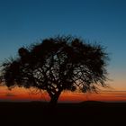 Abendrot auf dem Maifeld