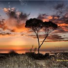 Abendrot auf Djerba