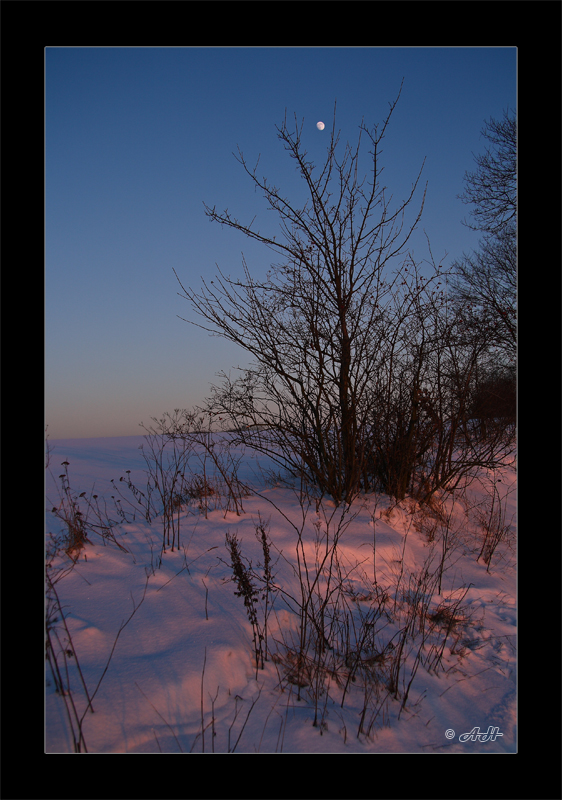 Abendrot auf Schnee mit Mond