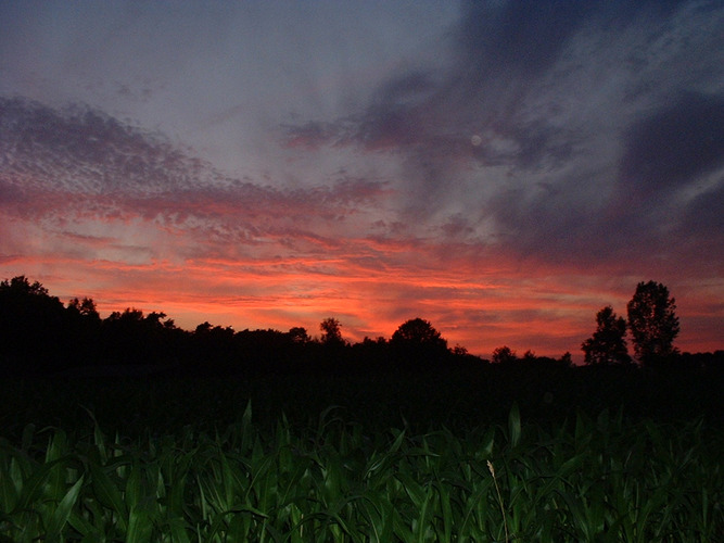 Abendrot aufgenommen am 09.07.03