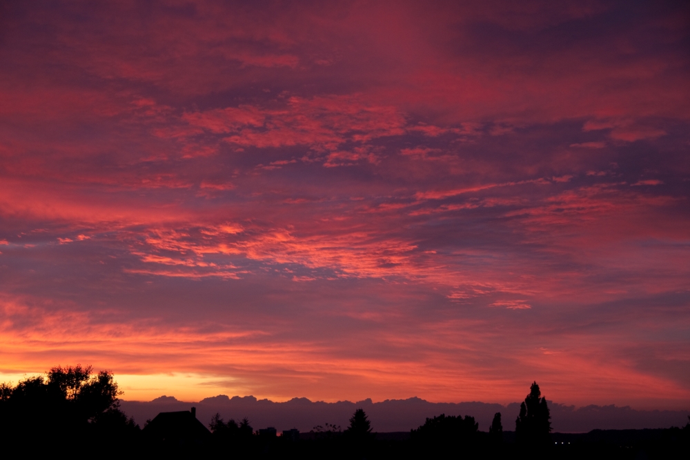 Abendrot von Steffen Gr. 