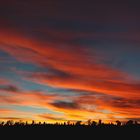 Abendrot beim Ayers Rock