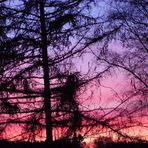 Abendrot bringt Sonn und Mond!