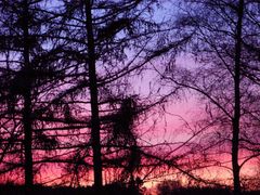 Abendrot bringt Sonn und Mond!