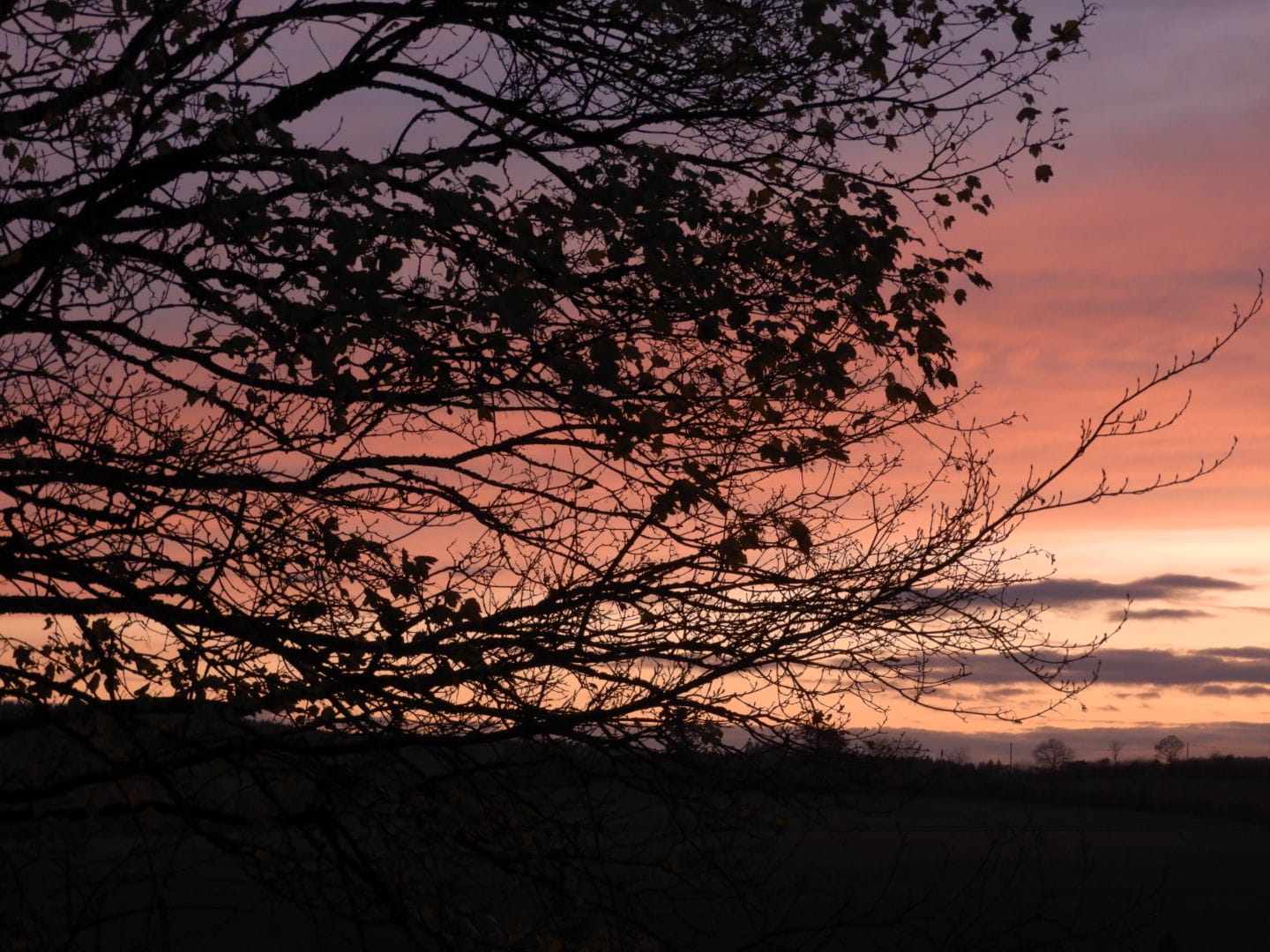 Abendrot der Eifel 2