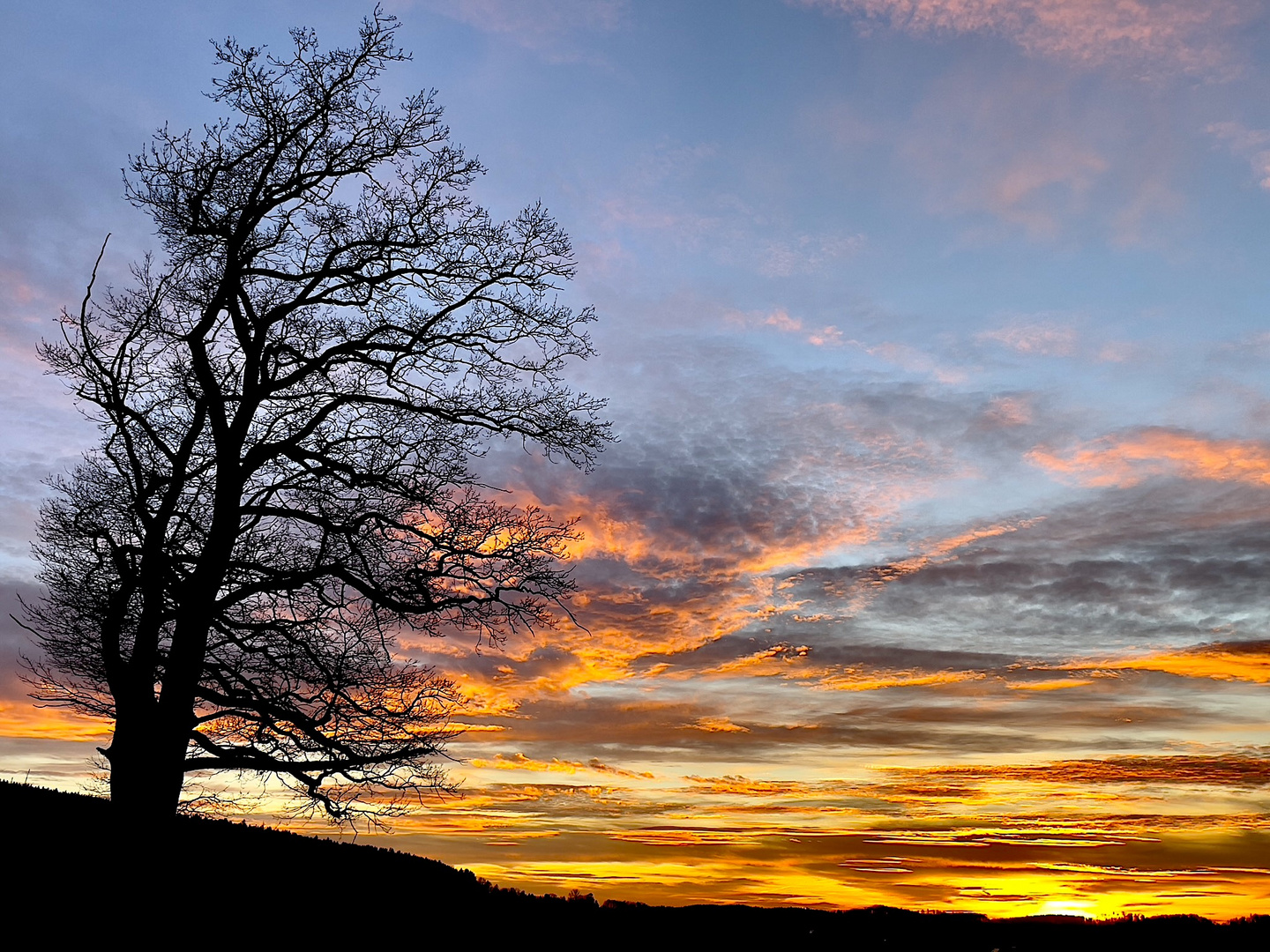 Abendrot 