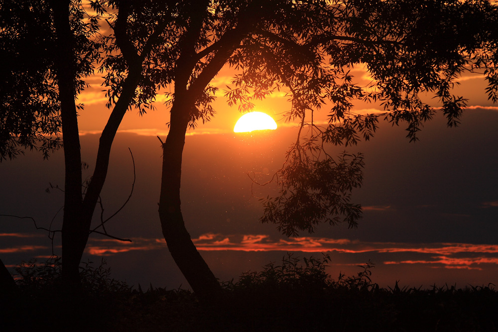 Abendrot von Adrian Wilms