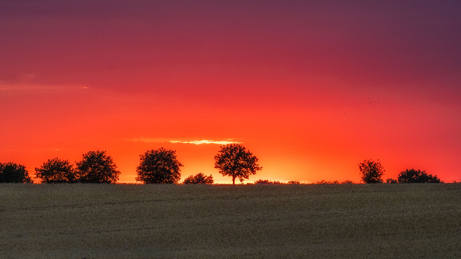 Abendrot