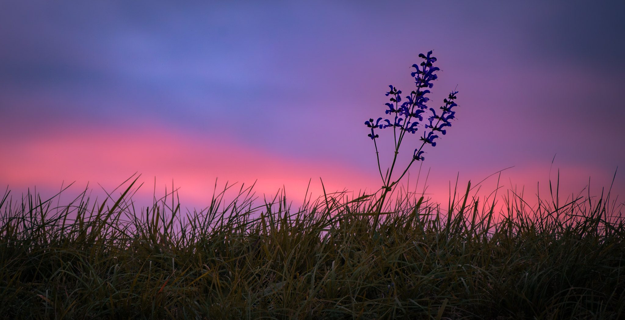 Abendrot