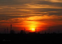 Abendrot hinter Windrädern