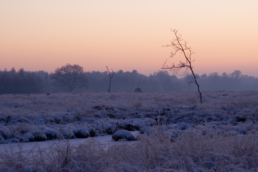 Abendrot im Eis-Moor