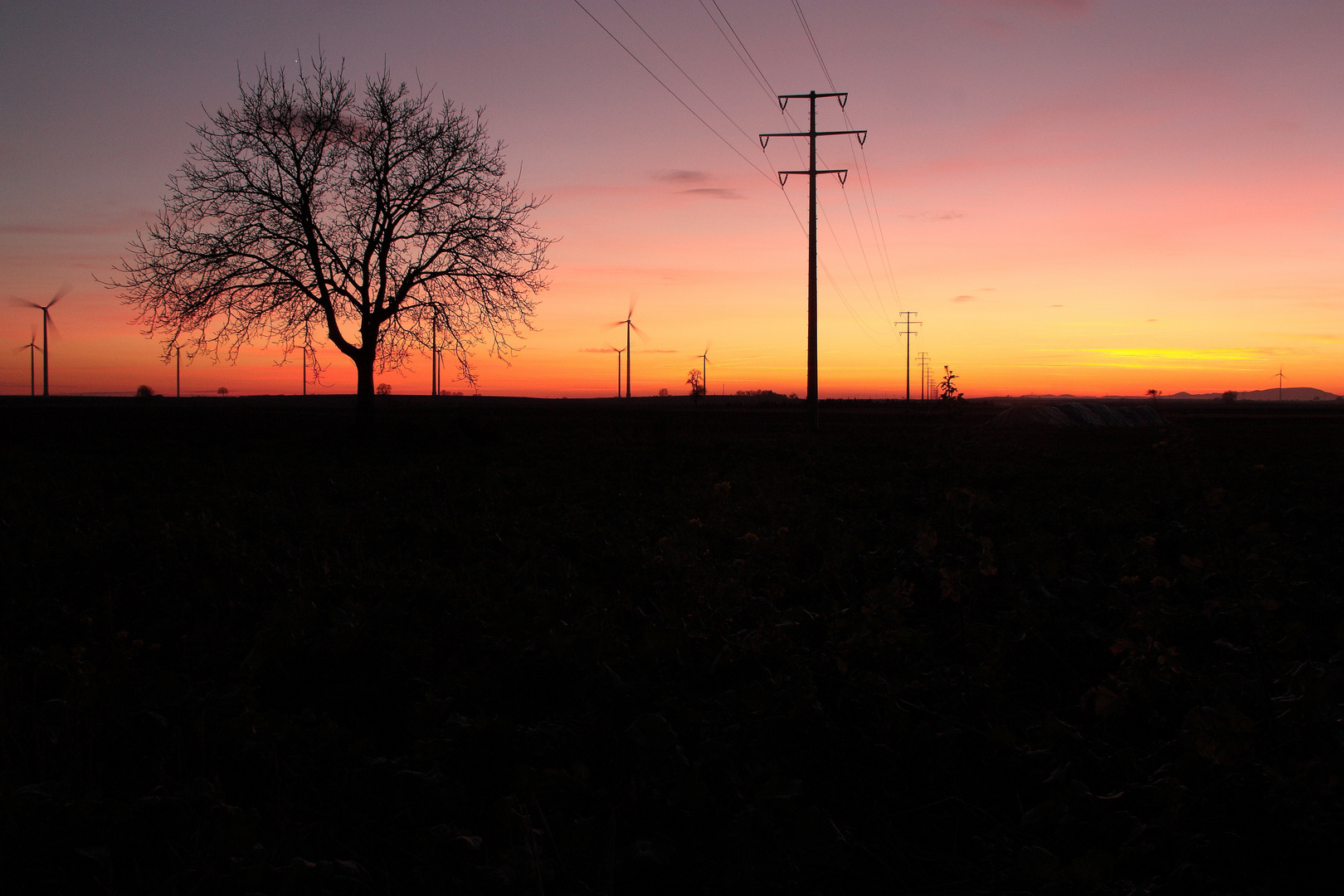 Abendrot im Feld