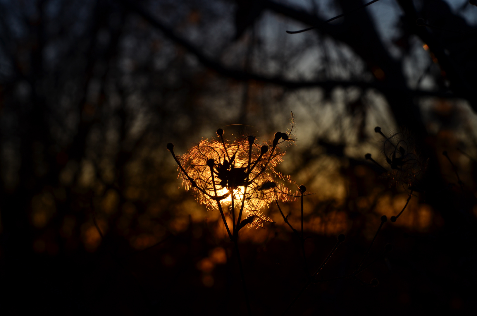 Abendrot im Gegenlicht