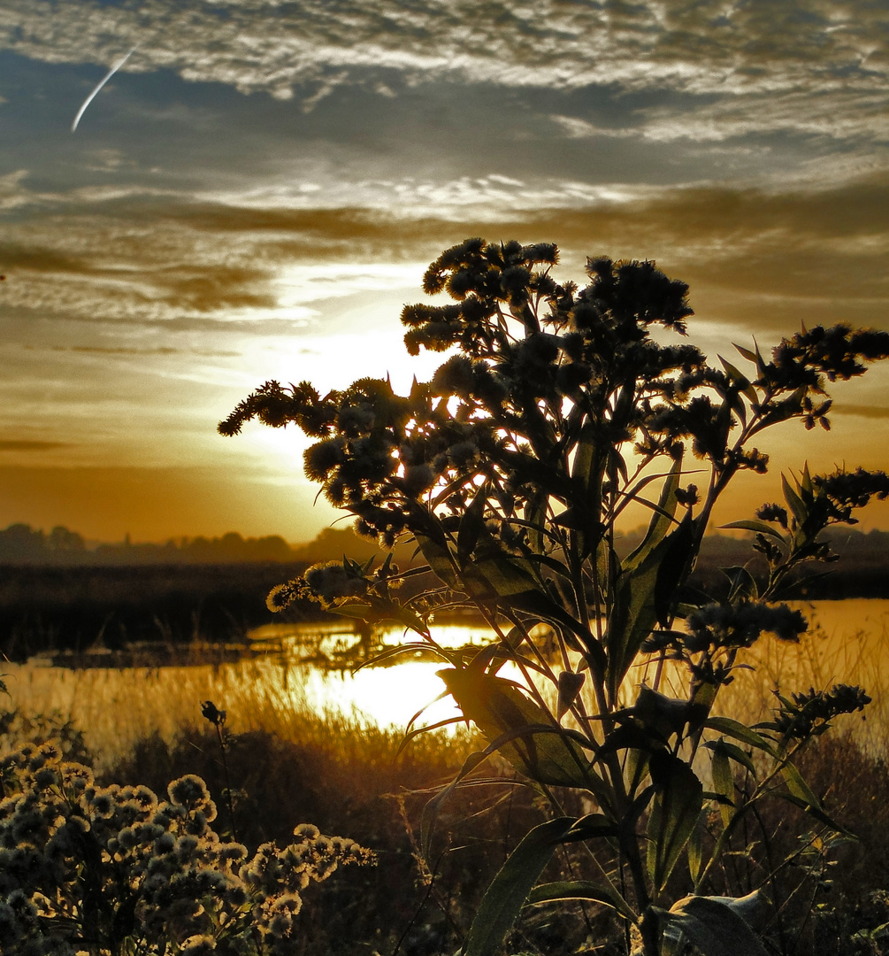 Abendrot im Hiller Moor