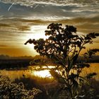 Abendrot im Hiller Moor