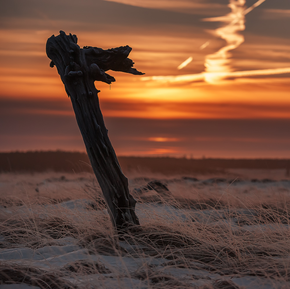 Abendrot im Hohen Venn