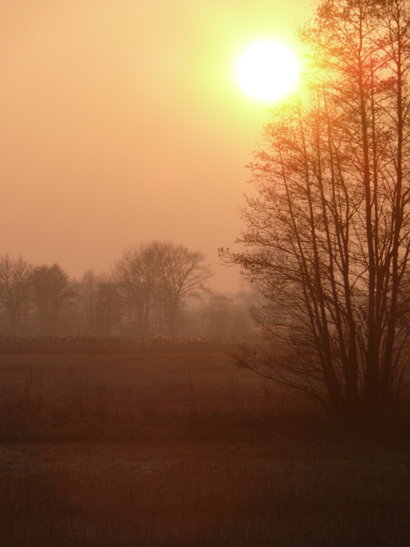 Abendrot im März