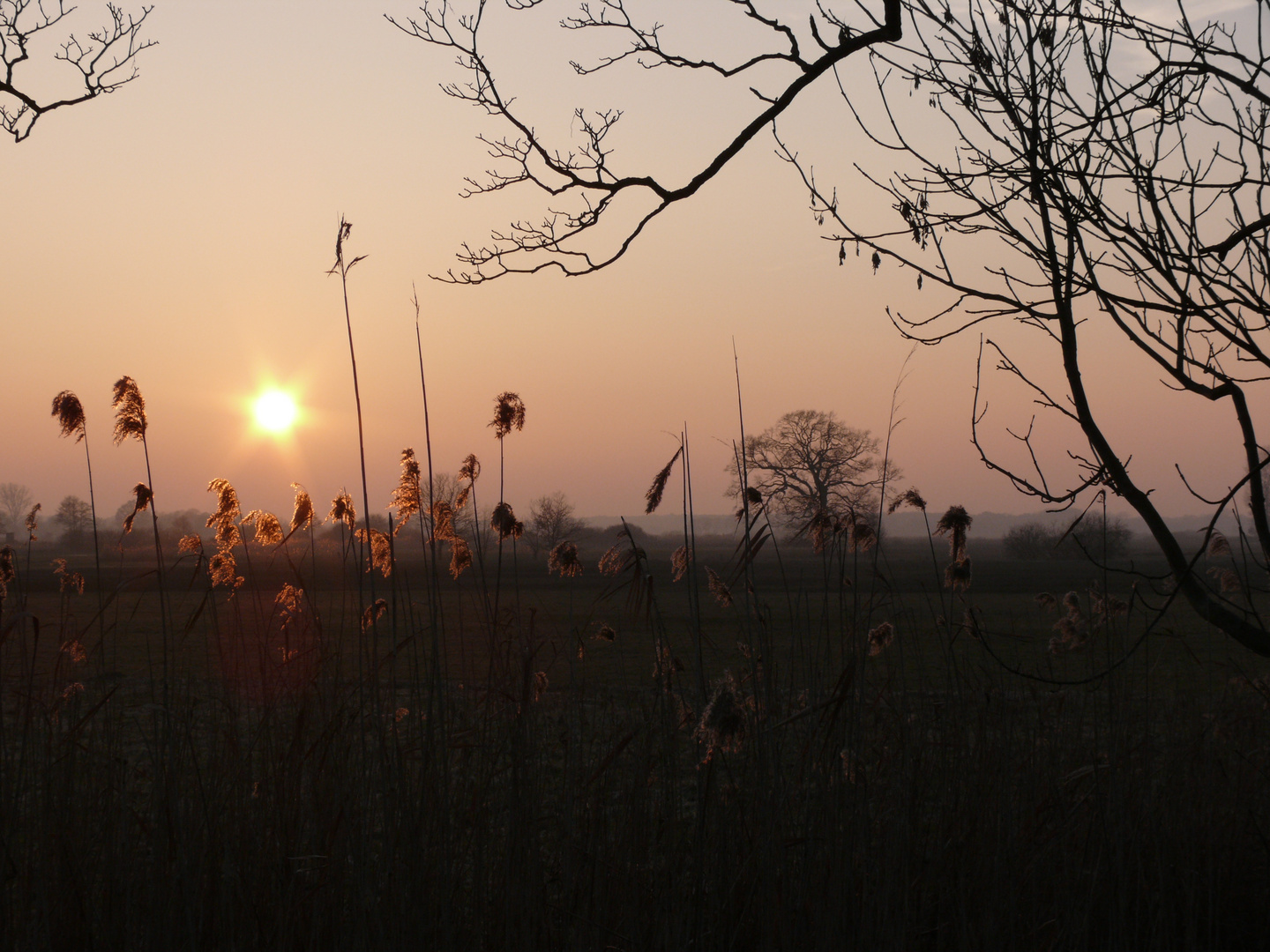 Abendrot im März II