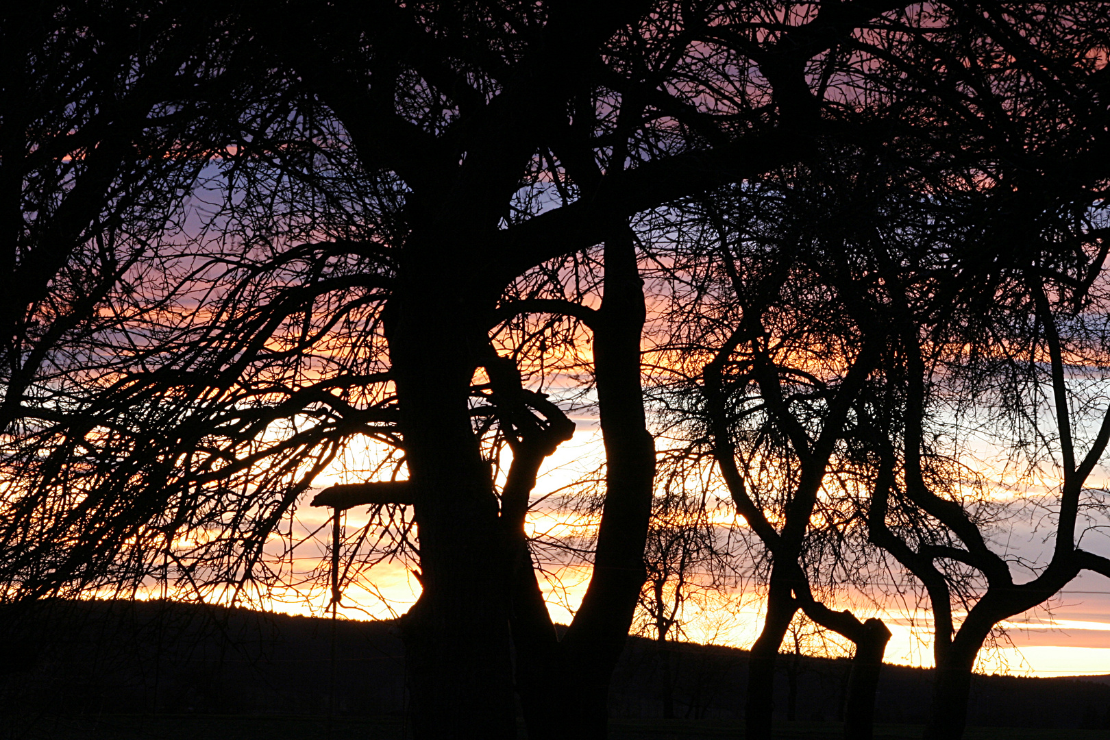 Abendrot im Obstgarten Januar 2012