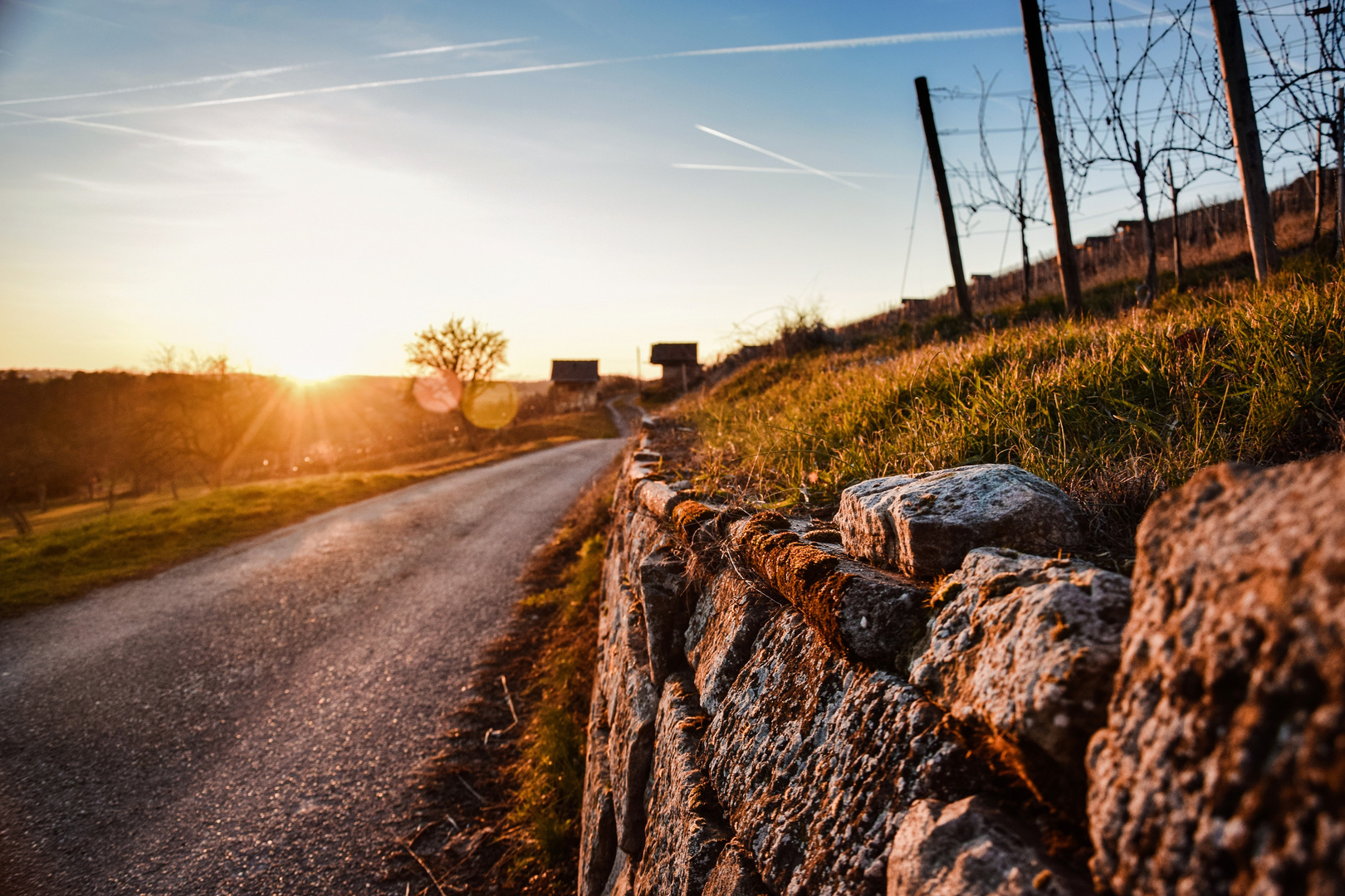 Abendrot im Weinberg