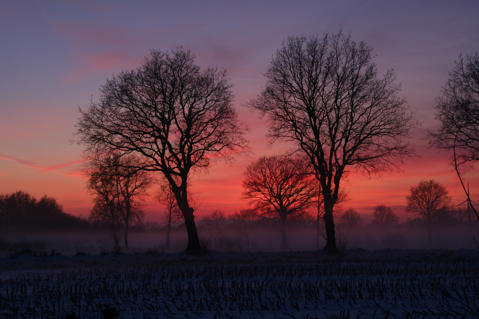 Abendrot im Winter