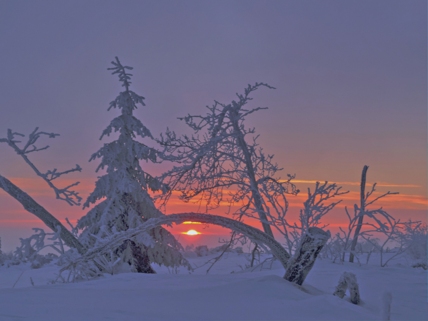 Abendrot im Winter