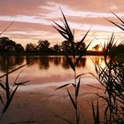 Abendrot in den Guttauer Teichen