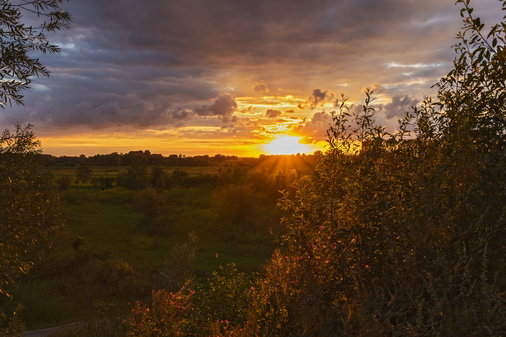 Abendrot in der Lippeaue