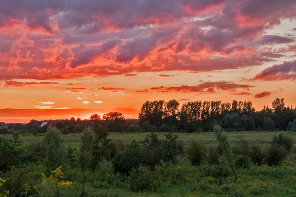 Abendrot in der Lippeaue